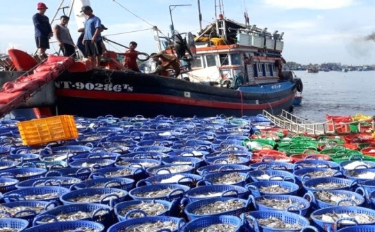 Quy định xử phạt vi phạm hành chính trong lĩnh vực thủy sản