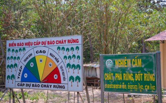 Tăng cường triển khai các biện pháp cấp bách phòng cháy, chữa cháy rừng