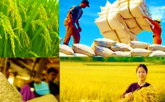 Để đảm bảo an ninh lương thực bền vững