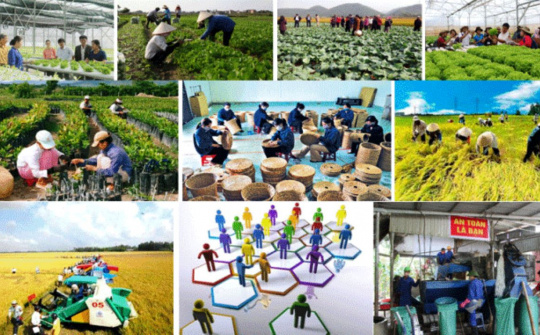 Phó Thủ tướng Lê Minh Khái làm Trưởng Ban Chỉ đạo quốc gia về kinh tế tập thể