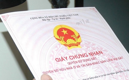 Tự ý sử dụng đất của người khác xử lý như thế nào?