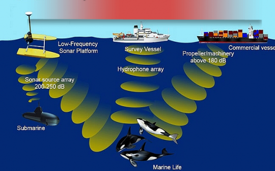 Kế hoạch thực hiện Công ước quốc tế về kiểm soát, quản lý nước dằn và cặn nước dằn của tàu
