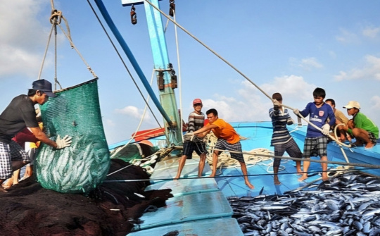 Khó khăn và giải pháp trong thực hiện chính sách chống khai thác hải sản bất hợp pháp