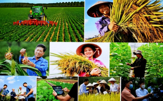 Chính sách Bảo hiểm rủi ro cho người nông dân góp phần quan trọng thực hiện mục tiêu an sinh xã hội