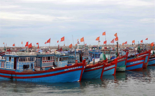 Quy hoạch hệ thống cảng cá, khu neo đậu tránh trú bão cho tàu cá thời kỳ 2021 - 2030, tầm nhìn 2050