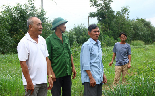Lay lắt mưu sinh ở vùng khai hoang: Gần 30 năm chờ đợi trong vô vọng