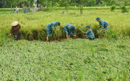 Nhiệm vụ, giải pháp trọng tâm để khẩn trương khắc phục hậu quả bão số 3