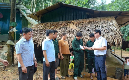 Cao su Bắc Trung bộ vượt lên bão lũ, tiếp tục sản xuất kinh doanh