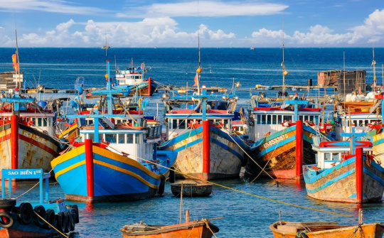 Sửa đổi một số quy định về xử phạt vi phạm hành chính trong lĩnh vực thủy sản