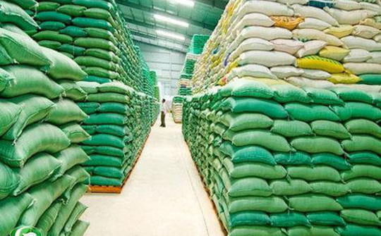Tăng cường công tác quản lý và sử dụng hàng dự trữ quốc gia để hỗ trợ, ứng phó mưa, lũ