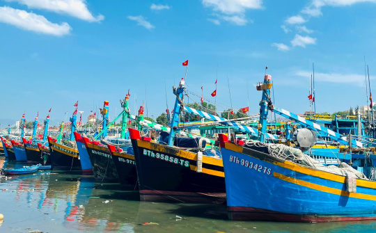 Ngưng hiệu lực thi hành quy định kích thước tối thiểu được phép khai thác một số loài thủy sản