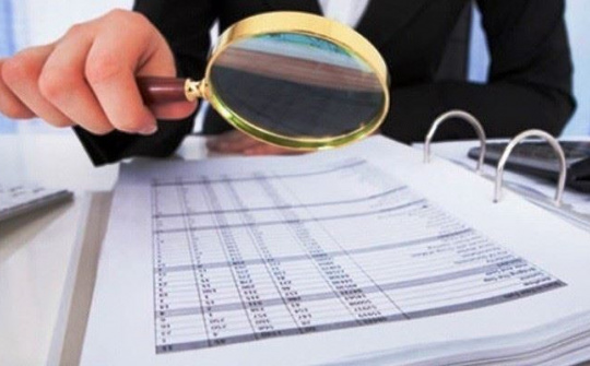 Quy chế tự kiểm tra văn bản quy phạm pháp luật do Chính phủ, Thủ tướng Chính phủ ban hành