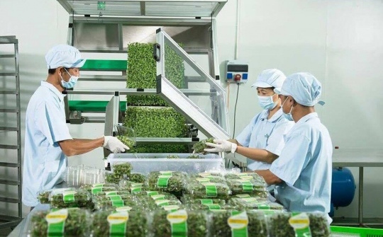 Tăng cường kiểm tra vùng nguyên liệu, cơ sở chế biến, đóng gói thực phẩm xuất khẩu