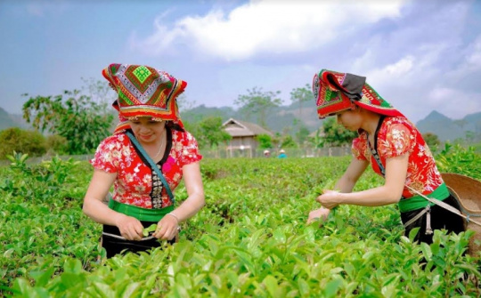 Bồi dưỡng cán bộ Hội Nông dân các cấp và nông dân sản xuất kinh doanh giỏi