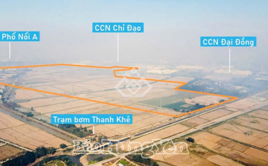 Cần tạo điều kiện thuận lợi cho doanh nghiệp thực hiện dự án cụm công nghiệp Minh Hải 1