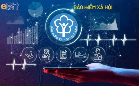 Trình tự, thủ tục thành lập Hội đồng quản lý bảo hiểm xã hội