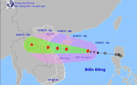 Tiếp tục triển khai quyết liệt công tác ứng phó bão số 5