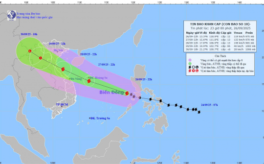 Bão số 10: Chủ động ứng phó ở mức cao nhất, không để bị động, bất ngờ trước mọi tình huống