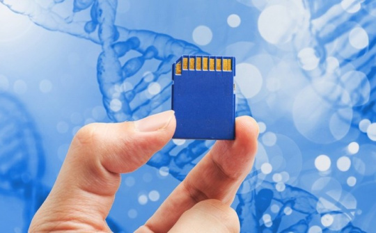 Phê duyệt nhiệm vụ lưu trữ dự phòng tài liệu quốc gia giai đoạn 2026–2035