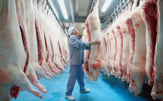 Chấn chỉnh công tác kiểm soát giết mổ gia súc