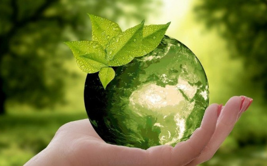 Bộ Nông nghiệp và Môi trường đề xuất sửa Luật Bảo vệ môi trường