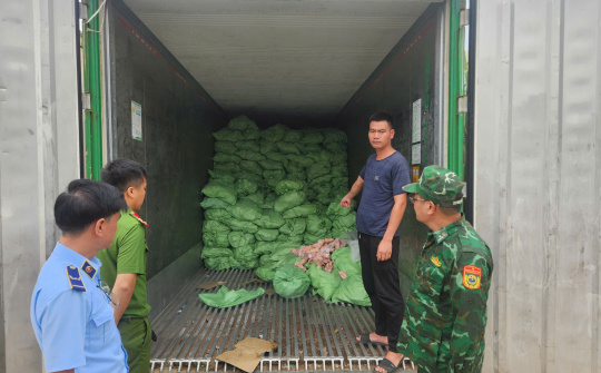 Triệt phá ba kho lạnh, thu giữ hơn 25 tấn thực phẩm bẩn tại Quảng Ninh
