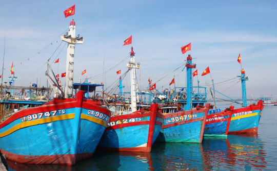 Siết chặt quản lý, khắc phục tồn tại trong chống khai thác hải sản bất hợp pháp