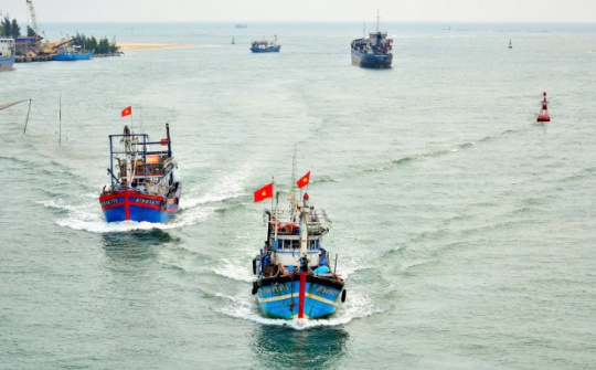 Ban hành Quy chế hoạt động của Ban Chỉ đạo về IUU