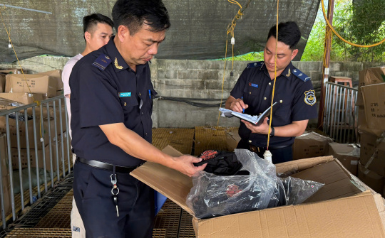 Hải quan siết chặt kiểm tra hàng hóa có dấu hiệu vi phạm sở hữu trí tuệ