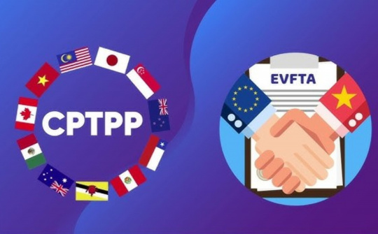 Đề xuất hướng dẫn thực hiện đấu thầu theo các Hiệp định CPTPP, EVFTA, UKVFTA