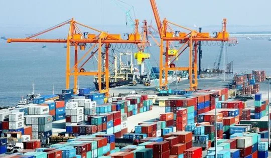 Quy hoạch chi tiết nhóm cảng biển: Đôi điều băn khoăn