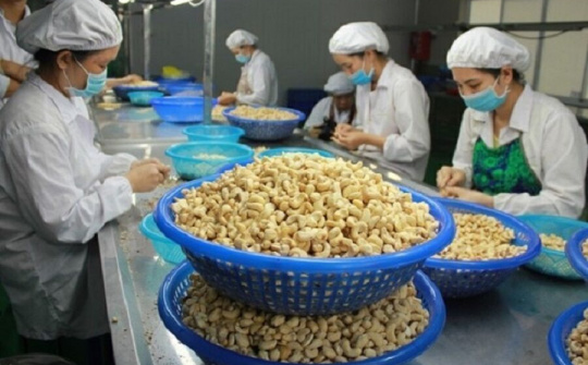 Vụ các container hạt điều xuất khẩu sang Italia: Bộ Công Thương vào cuộc hỗ trợ doanh nghiệp