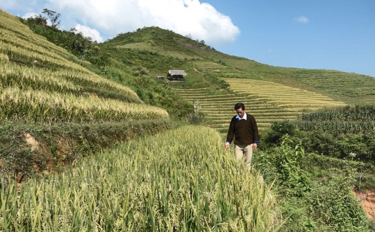 Lù A Dờ - Người đưa bản Mông Khe Táu đi qua vùng tối