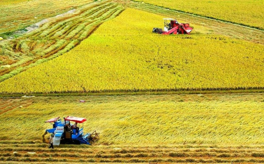 Đồng Tháp: Nỗ lực tham gia tốt Đề án 1 triệu ha lúa chất lượng cao
