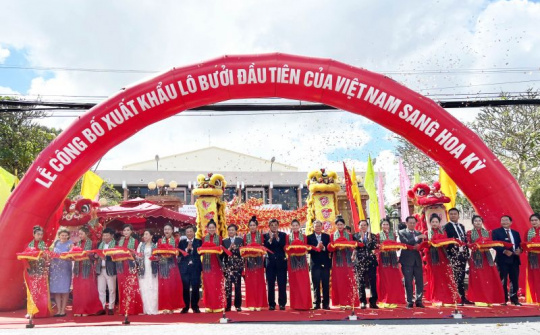 Bến Tre: Xuất khẩu lô bưởi da xanh đầu tiên qua Mỹ