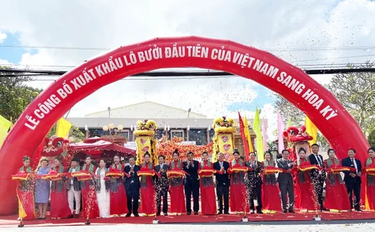 Bến Tre: Xuất khẩu lô bưởi da xanh đầu tiên qua Mỹ