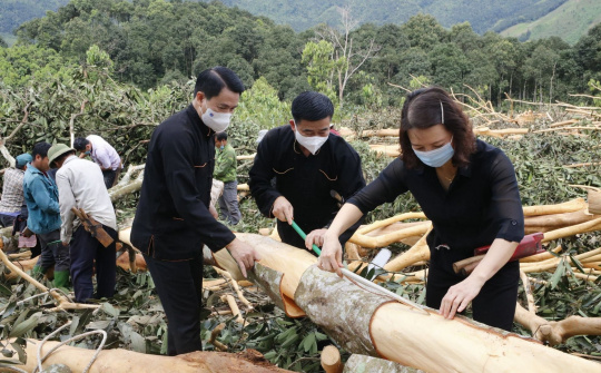 Quế Văn Yên: Không ngừng vươn xa từ việc thực hiện lời dạy của Bác Hồ khi lên thăm Yên Bái