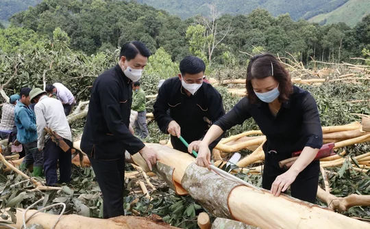 Quế Văn Yên: Không ngừng vươn xa từ việc thực hiện lời dạy của Bác Hồ khi lên thăm Yên Bái