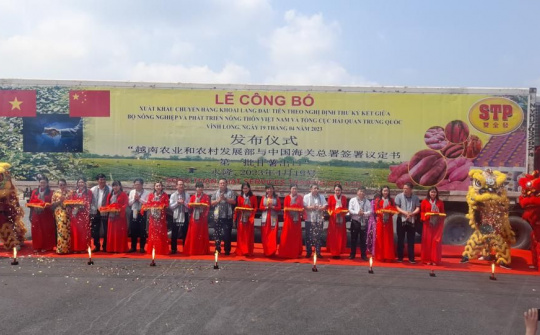 Vĩnh Long xuất khẩu chuyến khoai lang đầu tiên sang Trung Quốc