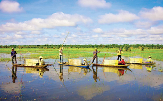 Đồng Tháp: Nỗ lực phát triển kinh tế nông thôn