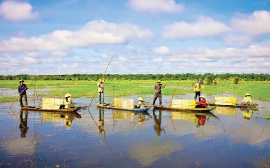 Đồng Tháp: Nỗ lực phát triển kinh tế nông thôn