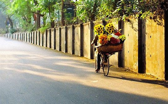 Dự báo thời tiết ngày 1/10: Bắc Bộ ngày có nắng, se lạnh vào đêm và sáng sớm