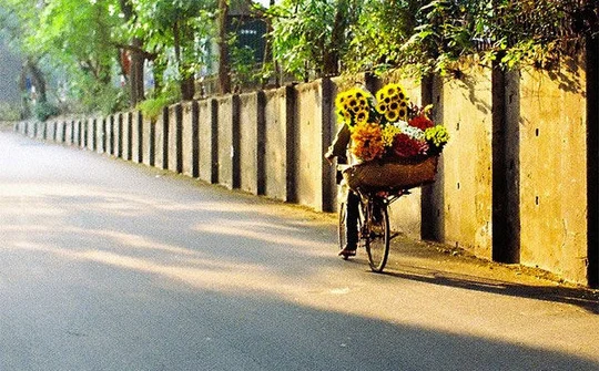 Dự báo thời tiết ngày 1/10: Bắc Bộ ngày có nắng, se lạnh vào đêm và sáng sớm