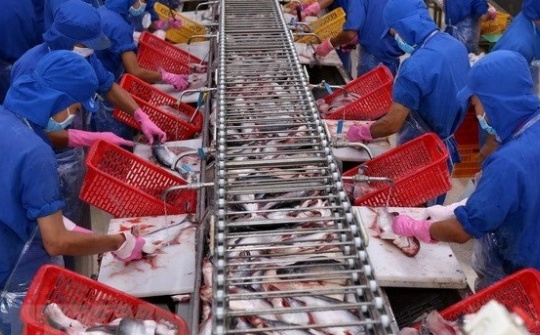 Vietnam’s export value to US reaches record high in August