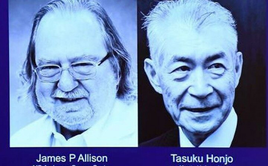 Nobel Y học 2018 với phát hiện về chữa bệnh ung thư