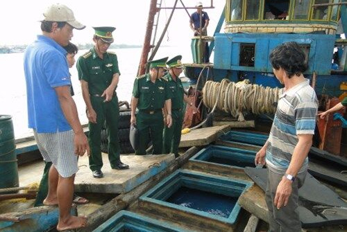 Bổ sung 20 tỷ đồng phục vụ công tác phát hiện, xử lý VPHC