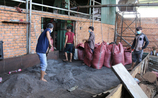 Vụ trộn tạp chất có chứa pin vào hạt tiêu: 5 đối tượng  bị truy tố