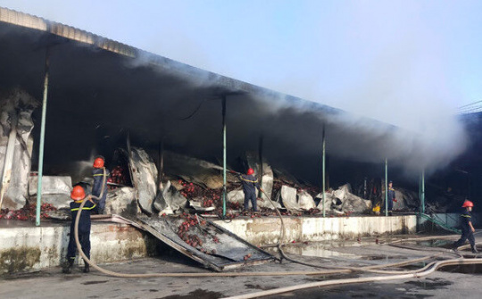 Cháy trong đêm, 200 tấn thanh long hỏng hoàn toàn