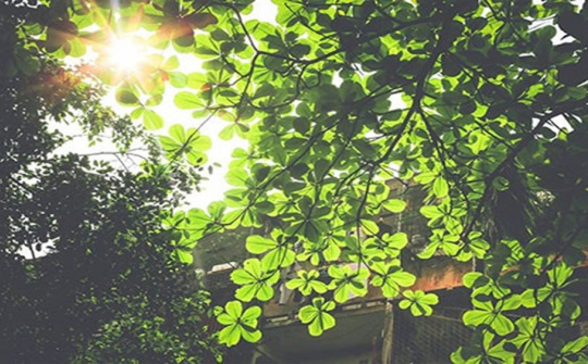 Dự báo thời tiết 12/10: Hà Nội nắng ráo, Trung Bộ mưa lớn trên diện rộng