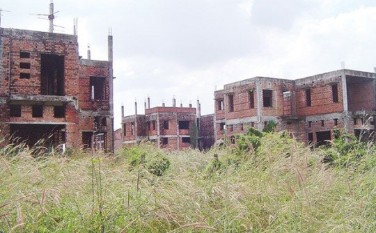 Nghiên cứu ý kiến của GS Đặng Hùng Võ về xử lý dự án 'treo'